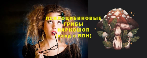 тгк Абаза