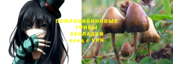 гашик Абдулино