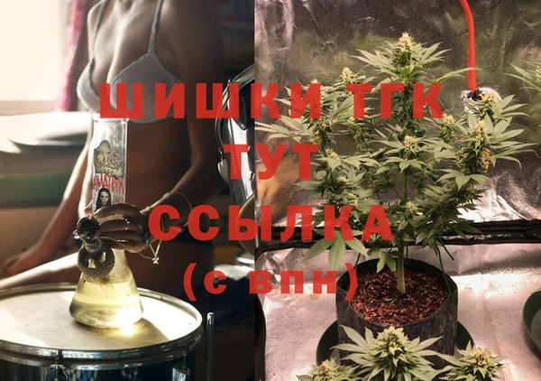 дурь Переславль-Залесский